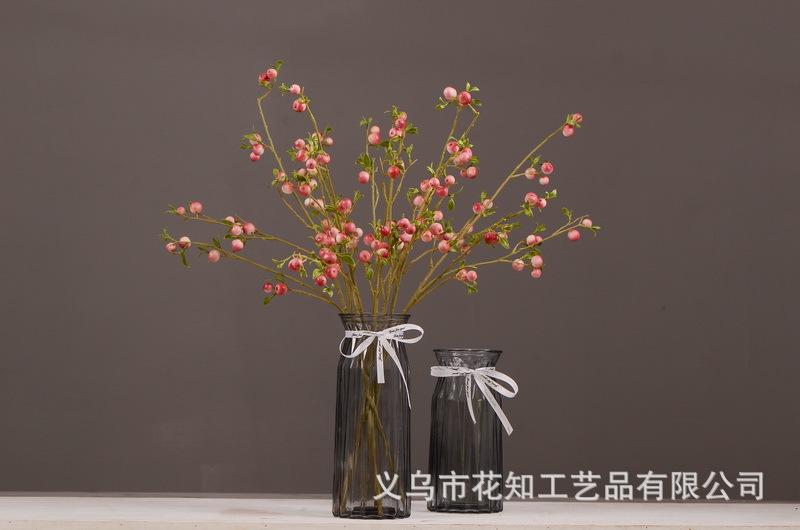 3-4粉色安迪小白果.jpg