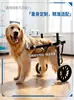 Silla de ruedas para perros hecha a medida transfronteriza, Ayuda de movilidad para mascotas de extremidades traseras, Dispositivo de asistencia para que gatos se pongan de pie y caminen, Silla de ruedas de rehabilitación para mascotas discapacitadas