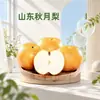 Shandong Luna de Otoño Gotas de Pera Dropshipping 3 Jin Crujiente Dulce Jugoso Suministro Directo del Huerto Caja de Color Caja de Regalo Peras Fruta Fresca