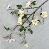 Atacado de fábrica Camélia de Sydney flor de simulação auditório de casamento decoração de simulação Juanhua flor artificial falsa