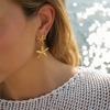 Brincos de estrela do mar de aço inoxidável 18K transfronteiriços europeus e americanos, brincos de orelha da série Ocean, brincos de personalidade e moda de alto sentido, atacado