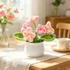 Amazon produto acabado feito à mão crochê flor artificial miosótis pequena planta em vaso buquê presente ornamento presente tecido com fio