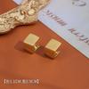 Estilo Minimalista para Hombre y Mujer Hebilla Geométrica Cuadrada para Oreja Sentido Avanzado Alambre Dibujado Mate Pendientes Moda Simple Estilo Frío Accesorios para Oreja de Moda