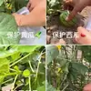 Bolsas para Frutas, Bolsas Especiales para Uvas, Artefacto a Prueba de Insectos y Pájaros para Melones y Frutas, Bolsa de Gasa Protectora, Bolsa para Frutas de Higo y Granada