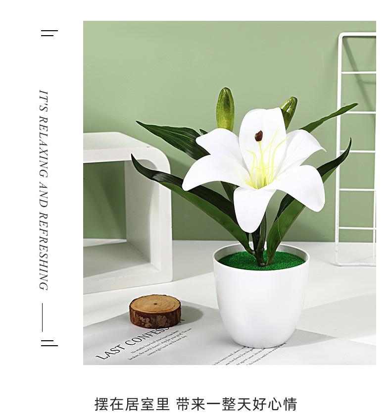 保侬详情_10.jpg