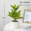 Macetas de Plantas Artificiales de Alta Calidad para Escritorios de Sala de Estar Interiores, Plantas Verdes Falsas Pequeñas para Decoración de Oficina y Paisajismo
