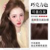 Tinte para el Cabello Color Crema Tubo Único Tiktok 2026 Nuevo Tinte para el Cabello Gris Té Negro Serie de Colores de Moda Cobertura de Canas a Base de Plantas