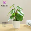Fabricantes de Flores Artificiales Cuidadosamente Seleccionados, Plantas Bonsái, Decoraciones Creativas para Interiores, Plantas Verdes Simuladas de Alta Calidad, Plantas en Maceta, Amazon