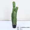 Cactus Pilares de Dragón Simulados Cactus Parásito Planta del Desierto Marroquí Decoración Suave para Paisajismo Modelo Decoración de Proyectos