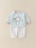 Roupa de Algodão Puro Estilo Primavera para Bebê Menino, Conjunto Dividido de Primavera para Meninos, Conjunto Dividido Estilo Primavera com Desenho para Bebês