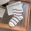 Nuevos calcetines de tubo de algodón fino para primavera y verano 2025 con bordado de cachorro lindo estilo académico para niños