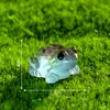 Paisagem Micro Criativa de Novo Produto Transfronteiriça Sapos, Sapos e Lagartos Pequenos que Brilham no Escuro Acessórios de Decoração para Paisagismo DIY Pequenos Ornamentos
