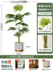 Palmera Areca Artificial Grande de Lujo de Gama Alta, Planta Verde, Árbol Falso, Planta de Bambú Cola de Fénix para Decoración de Paisajismo Tropical de Interiores