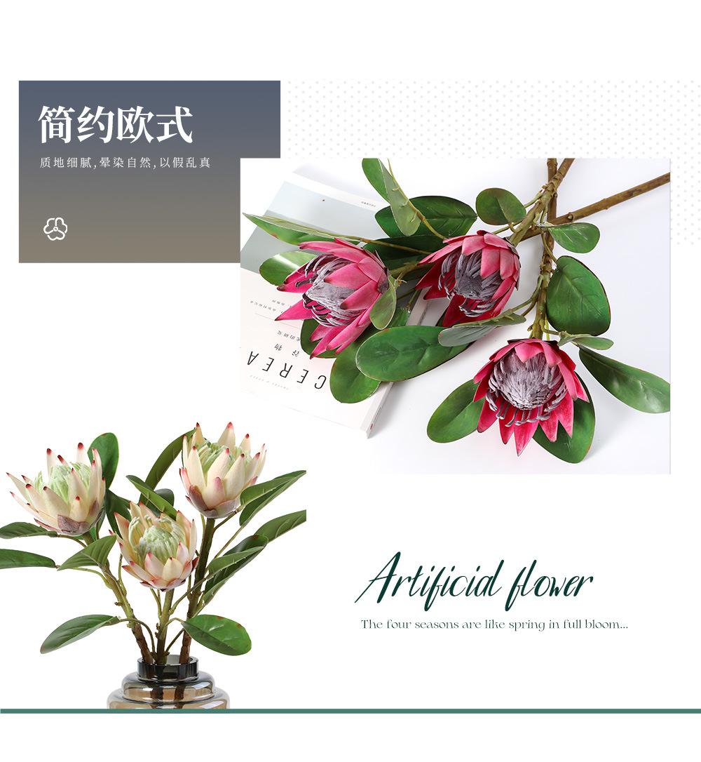 小帝王-8.13_04.jpg