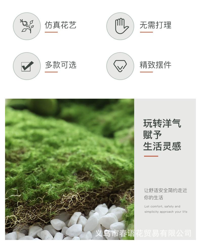 青丝草皮苔藓_02.jpg