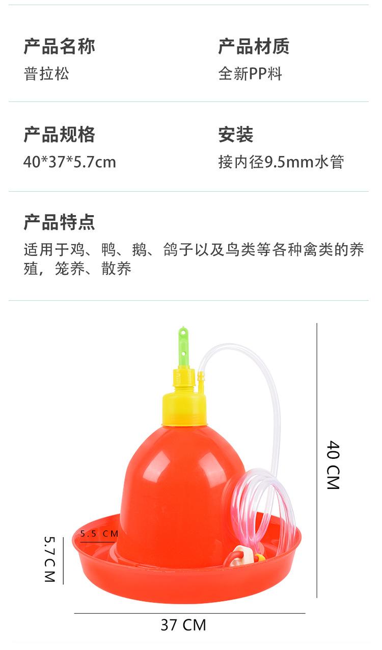 详情_04.jpg