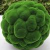 Bola Redonda com Cabelo Plantado Simulada, Bola de Plantas, Bola de Musgo de Grama, Bola de Grama, Bola de Musgo, Decoração Macia, Teto, Parede de Casamento, Decoração de Shopping