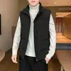 Chaleco de algodón suelto de moda estilo americano para comercio exterior para hombres y mujeres, versión coreana de invierno, elegante diseño de cuello alto, chaqueta versátil para parejas