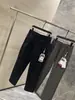 Série alternativa acessível: Mistura de fleece técnico de 3 camadas e seda de amoreira, nova coleção outono/inverno, calça casual atlética versátil de perna reta para homens