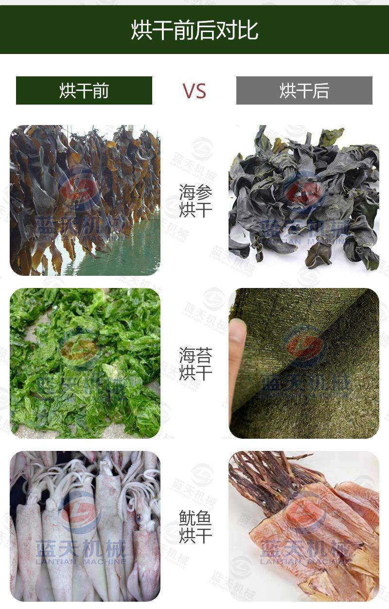 海带_17.jpg