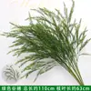 Verdor para Bodas Hierba Barba de Dragón Verdadero Hierba Espárrago Bosque Blanco Verde Estilo Decoración Fondo Colgante Arreglo Floral Decoración de Carretera Flores Artificiales