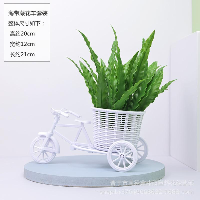 3D1A5551.jpg