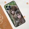 Capa de celular adequada para iPhone 15, limpa, fofa, macaquinho, natureza