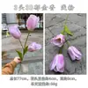 Comercio exterior nuevo fabricantes de tulipanes de simulación 3 tulipán 3D boda suave decoración del hogar flores artificiales al por mayor