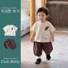Conjunto de Verano para Bebé Niño Estilo Coreano con Estampado 3D, Camiseta Suave y Cómoda de Manga Corta, Shorts Sueltos de Rayas Verticales, Juego de 2 Piezas