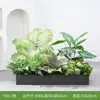 [Serie Y80] Decoración de Partición de Planta Verde Simulada Macetero Maceta Valla Paisajística de Plástico Biónico Diseño