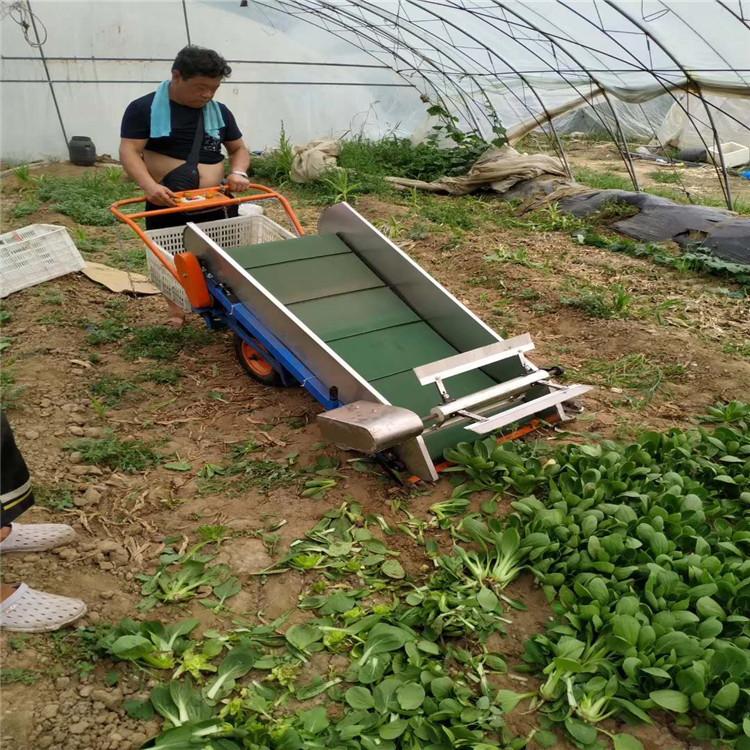 5c647d2fee4585cac223ddf9083781