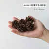 Flores secas canela limão pinha mix e match flores secas artesanais pequeno buquê fresco aromaterapia pacote de material DIY lembrança presente
