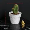 Mini Macetas, Exquisitas Macetas para Suculentas, Pequeñas Macetas para Plantas de Interior, Macetas Pequeñas de Plástico Modernas No Porosas