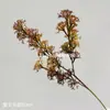 Flores Artificiales, Flores Secas Estilo Wabi-Sabi, Hojas Secas, Frutos de Pipa, Hortensias de Borde Tostado, Materiales Florales Vintage, Frutos de Espino Marítimo, Decoraciones de Mesa, Flores de Seda