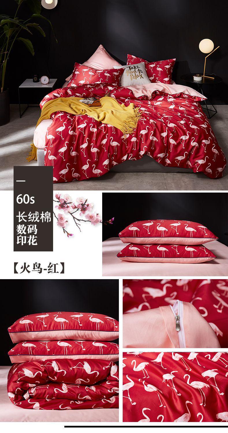 火鸟-红.jpg