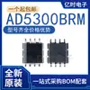 Novo Original AD5300BRM/BRMZ 5321 7276 7303 Serigrafia D2B DAB C30 D1B