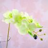 Venta al por mayor 7 ramas pequeñas Phalaenopsis flor artificial individual tela de seda boda orquídea mariposa venta al por mayor