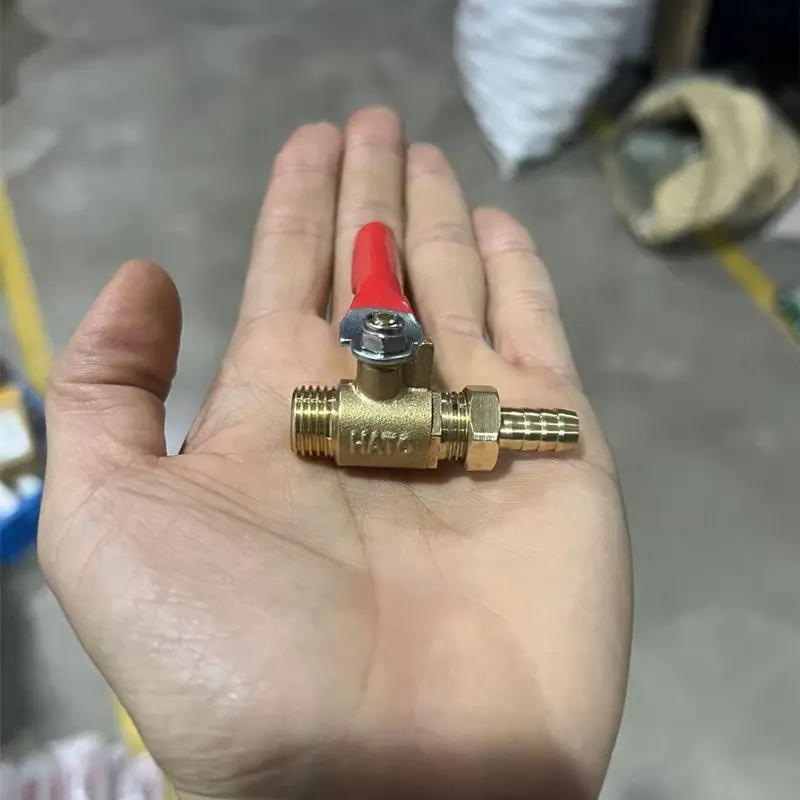微信图片_20241110221342_副本