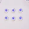 Decorações Coloridas de Unhas Flor de Frangipani Resina 3D DIY Pequenos Acessórios Brincos Capa de Celular Acessórios para Unhas Vestíveis Atacado