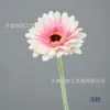 Gérbera Artificial de Haste Única Decoração de Casa Gérbera com Haste Aveludada Venda Quente Transfronteiriça Flor Artificial Jardinagem Doméstica Arranjo de Flores