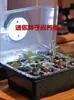 Caja de Cultivo Grande Liubuyi con Humedad Aumentada por Calor para Anturios con Luz Suplementaria, Caja de Plántulas para Plantas Pequeñas