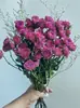 Flor Natural Real Flor Seca Multi-cabeça Pequena Rosa Buquê de Rosas Decoração de Sala de Estar Ornamento Decoração Móveis Macios Adereço de Fotografia