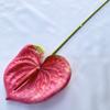 Nuevo pegamento suave simulación palma roja pequeña decoración para el hogar tacto flor falsa bonsái de escritorio boda simulación planta verde al por mayor