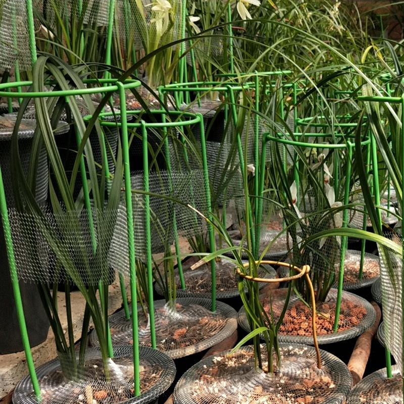 O1CN018bceVk1Yvv78TZX5U_!!1425