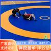 Funda para colchoneta de lucha, colchoneta individual para entrenamiento de competición, funda para Wushu Sanda, funda para suelo de lucha de Taekwondo