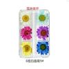 Nuevo estilo de flores secas para uñas, 6 rejillas rojas, girasol japonés, flor natural estrellada, decoraciones para uñas DIY