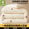 Colcha bordada de fibra de soja para inverno, colcha de inverno para dormitórios estudantis, colcha de primavera e outono, colcha de algodão, colcha para todas as estações e colcha de ar condicionado
