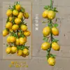 Espetos Decorativos de Frutas e Legumes Pendurados, Espetos de Pimenta Falsos, Milho Decorativo para Ornamentos de Fazenda, Restaurante, Pátio, Pingentes de Colheita
