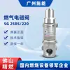 Válvula solenoide de gas Sinon válvula solenoide de apertura lenta válvula de cierre de seguridad para gas natural SG25RS/220