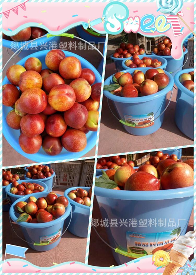 initpintu_副本